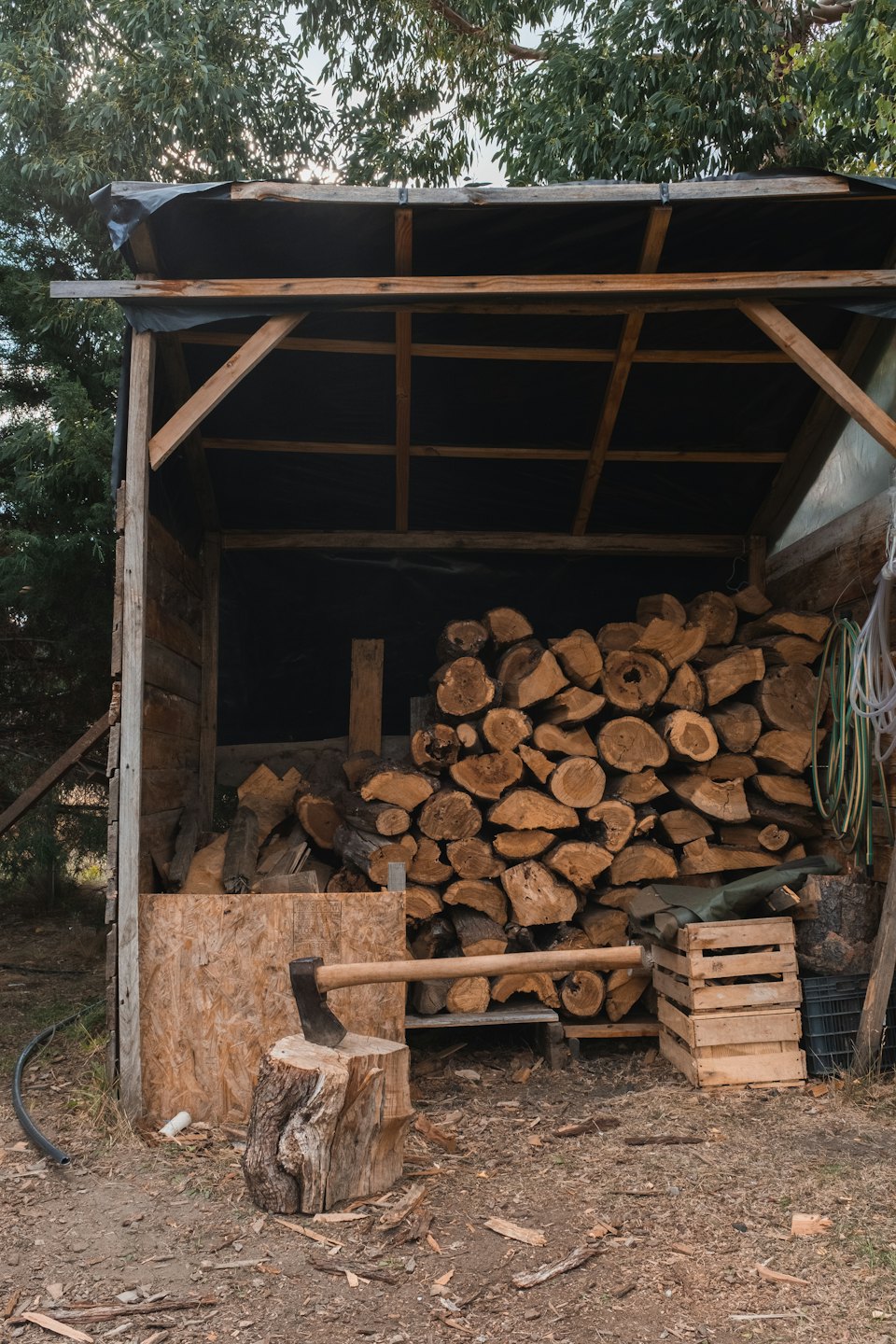 Une remise rustique en bois remplie de bûches de bois de chauffage soigneusement empilées.
