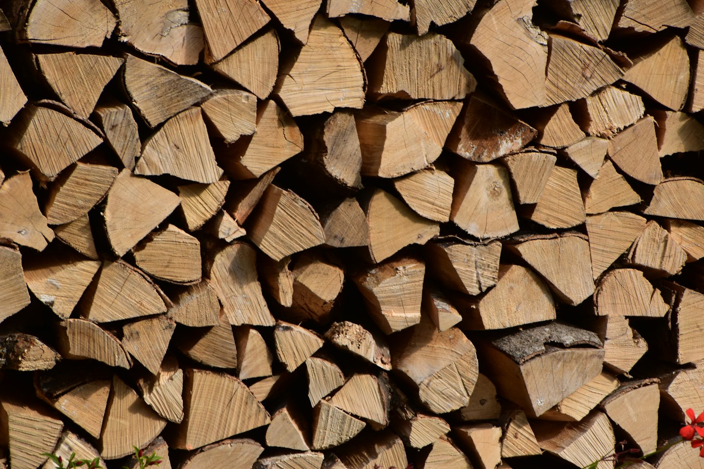 Bûches de bois de chauffage bien empilées, avec le grain du bois visible.